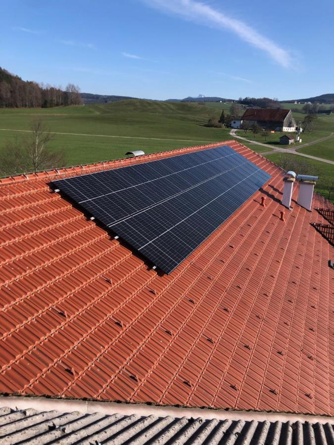 Biohof-Feichtinger Leilighet Zell am Moos Eksteriør bilde