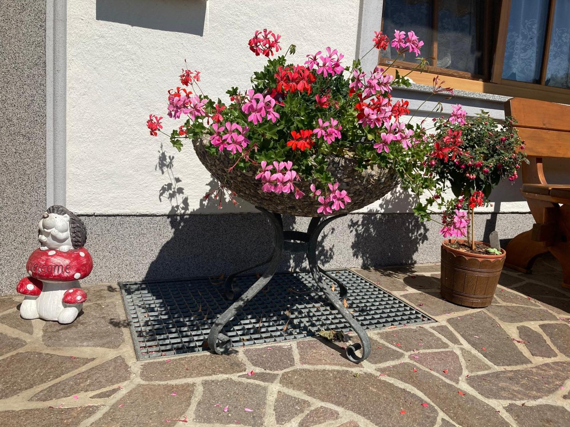 Biohof-Feichtinger Leilighet Zell am Moos Eksteriør bilde